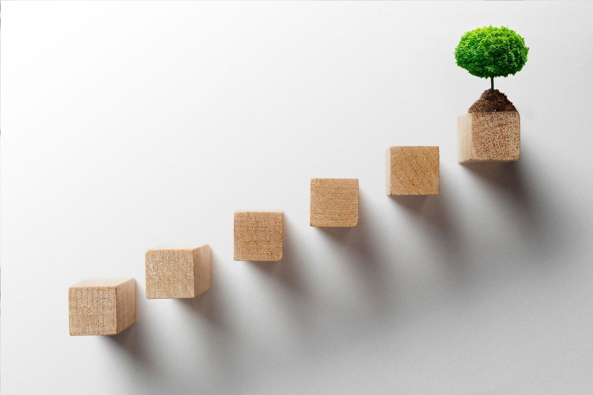 Qué debes saber antes de pasar de autónomo a sociedad limitada